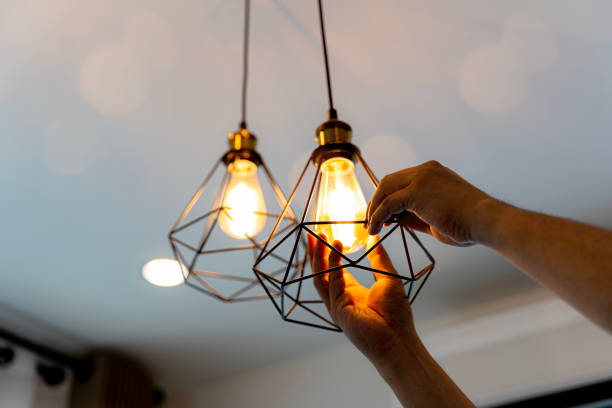 Best Home Electrical Repair  in Meridian, CO
