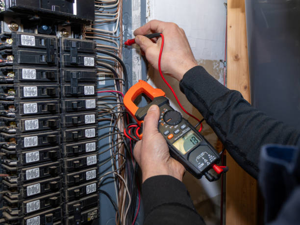 Best Licensed Electrician  in Meridian, CO